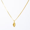 COLLAR VULVA