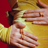 ANILLO ENJAMBRE SERPIENTES