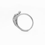 ANILLO ENTREPIERNADOS