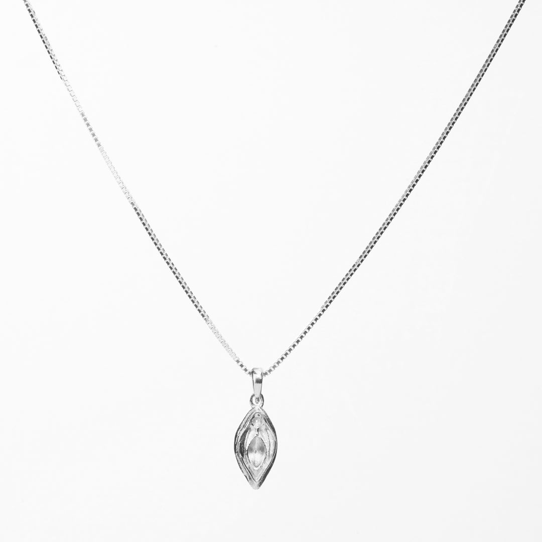 COLLAR VULVA